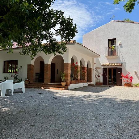 Villa Tana Pacenzia Cefalù Exterior foto
